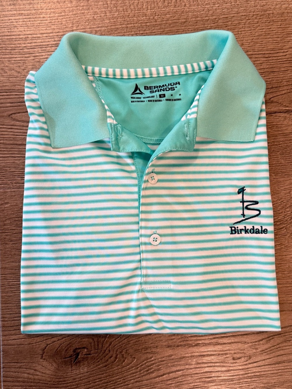 Bermuda Sands Birkdale Men's Mint Green Stripe Polo